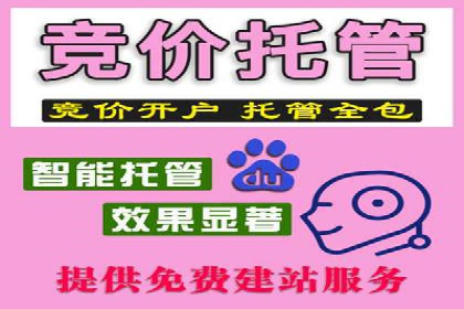 百度推广代运营案例：案例解析：如何提升广告投放效果